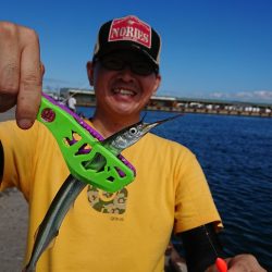 汐見埠頭で初サヨリ釣り