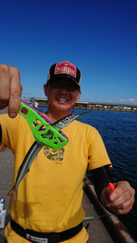 汐見埠頭で初サヨリ釣り