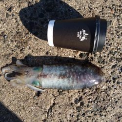 雨が降る前に今週も行って来ました。