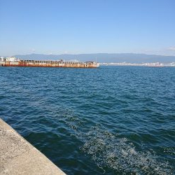 でかいのがほしかった