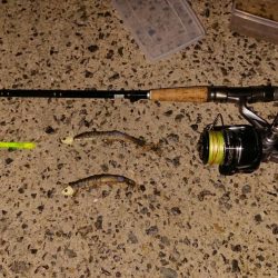 平日無理やり釣行!