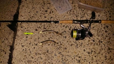 平日無理やり釣行!