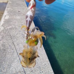 渋い?まだ早い?それとも・・・