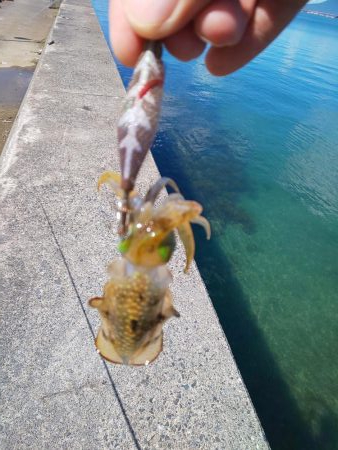 渋い?まだ早い?それとも・・・