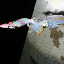 初ホームグランド!