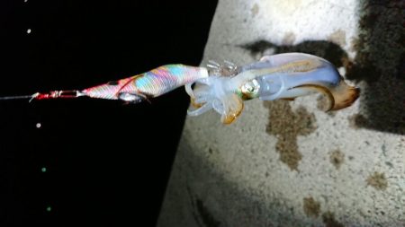 初ホームグランド!