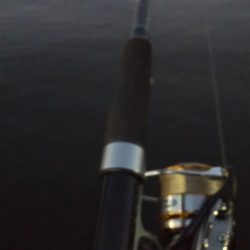 南港の状況調査釣行