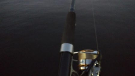 南港の状況調査釣行