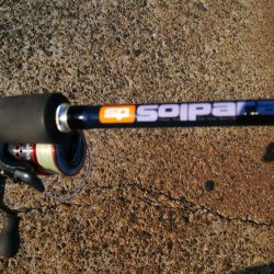 中秋の名月に待望のタチウオ