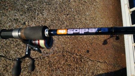 中秋の名月に待望のタチウオ