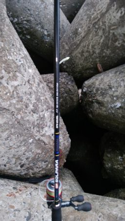 初めての釣り場でタチウオ