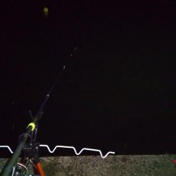 今シーズン初エギング