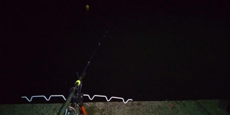 今シーズン初エギング