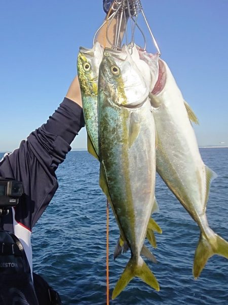 ショアハマチ！