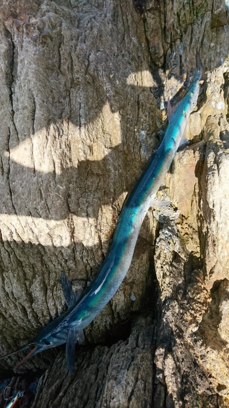 不本意な結果ですが。。