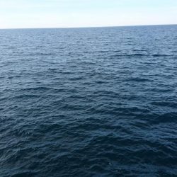 また、お前か！！