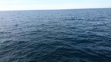 また、お前か！！