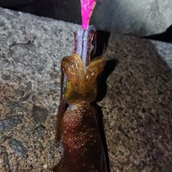 週末は雨模様。