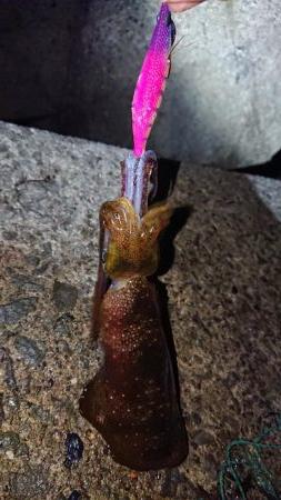 週末は雨模様。