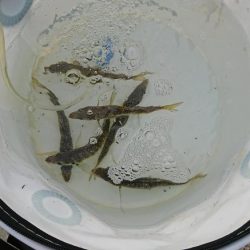 色々～＼(^-^)／