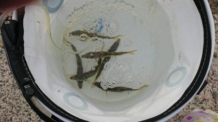 色々～＼(^-^)／