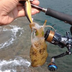 清掃活動からのエキング