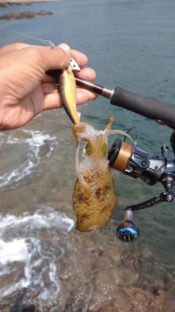 清掃活動からのエキング