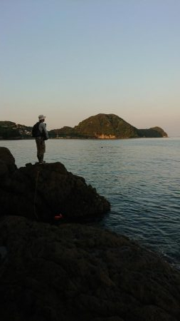 シーバス&ロックフィッシュ