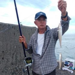 潮の動き今一でもキスが釣れる播磨新島