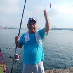 数が釣れ始めた播磨新島釣行