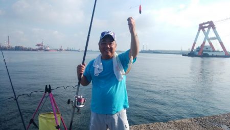 数が釣れ始めた播磨新島釣行