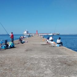 時合いドンピシャの播磨新島釣行