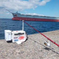 ７日連投の播磨新島釣行