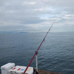 台風１７号通過後の播磨新島釣行