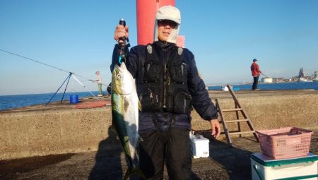 キスの活性が戻った播磨新島