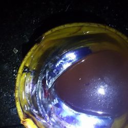 ようこそ、タチウオちゃん達、まってたよ。