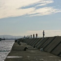 タチウオ２匹、ドジョウテンヤ