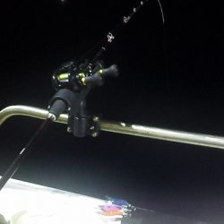 まだいるぞ　良型!!