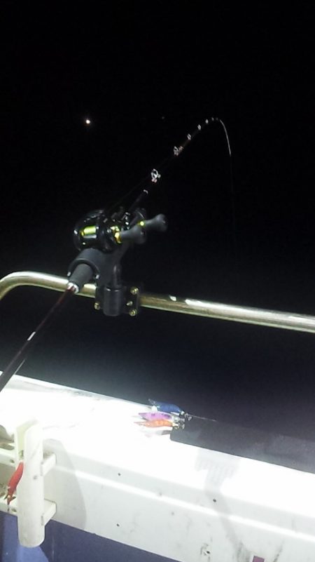 まだいるぞ　良型!!