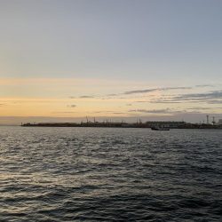 タチウオハマチ狙い