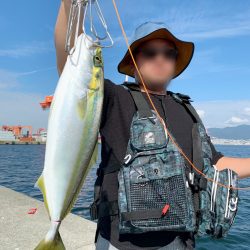 ポーアイ起きリベンジ？