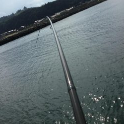 ライトタックルで泳がせ釣り