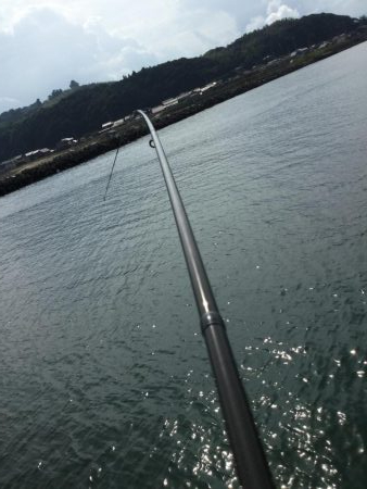 ライトタックルで泳がせ釣り