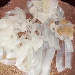 ナイトエギング