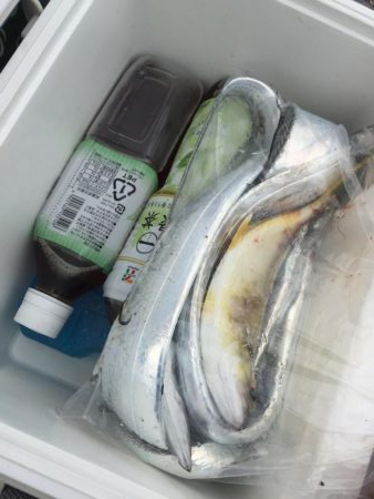 息子とライトショアジギング