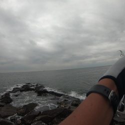 サーフフィッシング チビシーバス