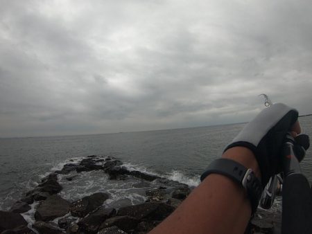 サーフフィッシング チビシーバス