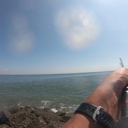 サーフフィッシング カレイ2発!!