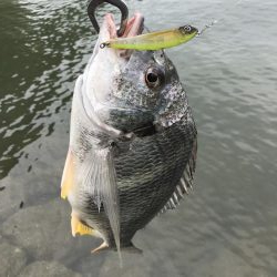 トップキターーーッ！！！