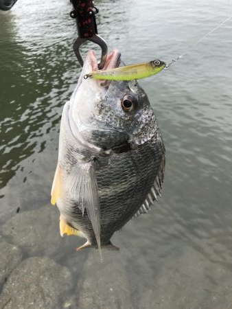 トップキターーーッ！！！